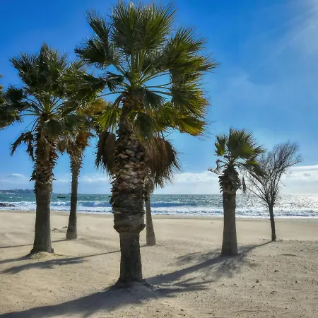 Apartment Bleu Marine-5 By Interhome